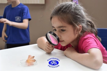Alunos estudam as estruturas das plantas e das flores | 1º ano