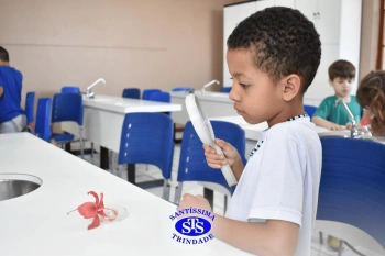 Alunos estudam as estruturas das plantas e das flores | 1º ano