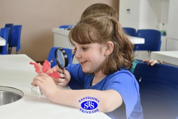 Alunos estudam as estruturas das plantas e das flores | 1º ano
