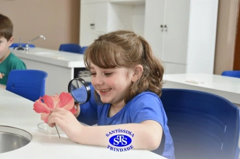 Alunos estudam as estruturas das plantas e das flores | 1º ano