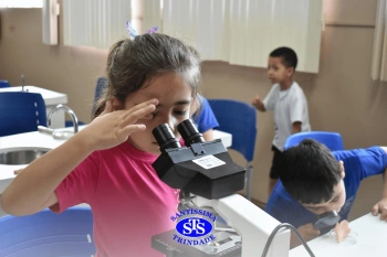 Alunos estudam as estruturas das plantas e das flores | 1º ano
