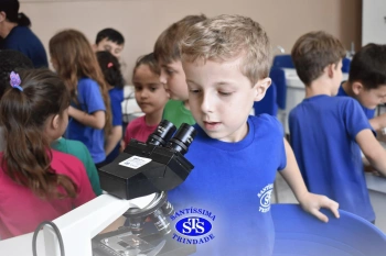 Alunos estudam as estruturas das plantas e das flores | 1º ano
