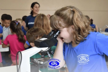 Alunos estudam as estruturas das plantas e das flores | 1º ano