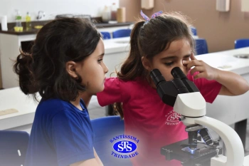 Alunos estudam as estruturas das plantas e das flores | 1º ano