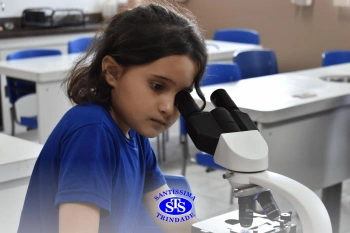 Alunos estudam as estruturas das plantas e das flores | 1º ano