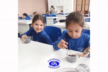 Alunos estudam as estruturas das plantas e das flores | 1º ano