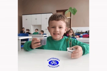 Alunos estudam as estruturas das plantas e das flores | 1º ano