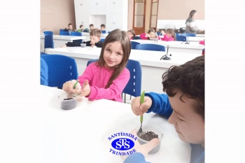 Alunos estudam as estruturas das plantas e das flores | 1º ano