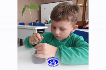 Alunos estudam as estruturas das plantas e das flores | 1º ano