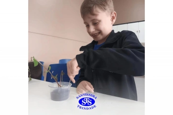 Alunos estudam as estruturas das plantas e das flores | 1º ano