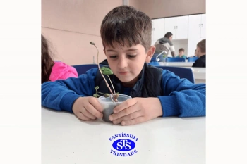Alunos estudam as estruturas das plantas e das flores | 1º ano