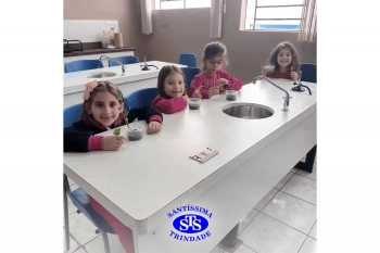 Alunos estudam as estruturas das plantas e das flores | 1º ano