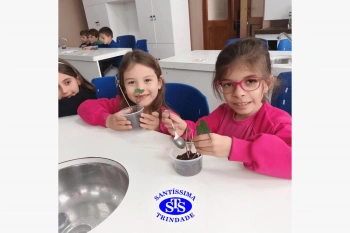 Alunos estudam as estruturas das plantas e das flores | 1º ano