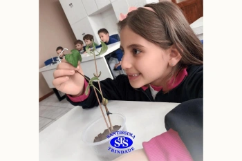 Alunos estudam as estruturas das plantas e das flores | 1º ano