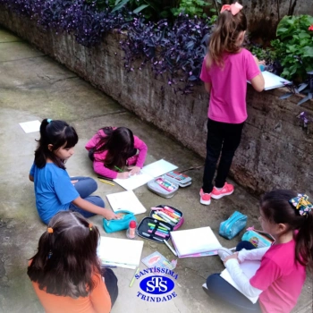 2º ano | Estudo de Plantas