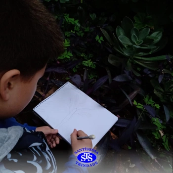 2º ano | Estudo de Plantas