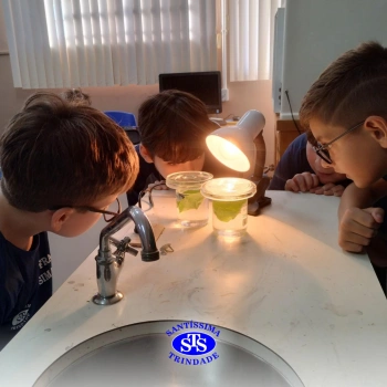 Experiência sobre o processo de fotossíntese | 4º ano