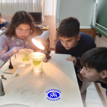 Experiência sobre o processo de fotossíntese | 4º ano