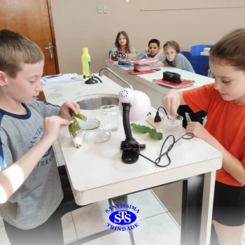Experiência sobre o processo de fotossíntese | 4º ano