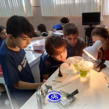 Experiência sobre o processo de fotossíntese | 4º ano