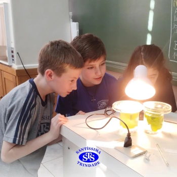 Experiência sobre o processo de fotossíntese | 4º ano