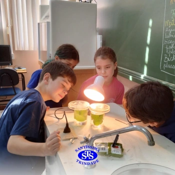 Experiência sobre o processo de fotossíntese | 4º ano