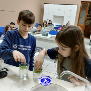 Experiência sobre o processo de fotossíntese | 4º ano