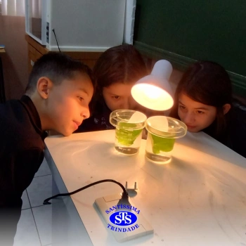 Experiência sobre o processo de fotossíntese | 4º ano