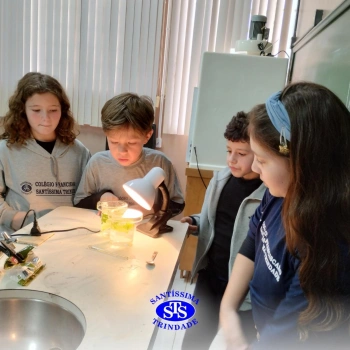 Experiência sobre o processo de fotossíntese | 4º ano