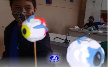 Luz e a Visão | 3º ano