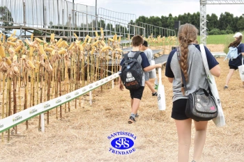 Alunos participam da