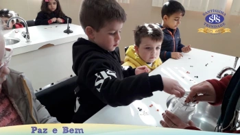 A2 - Experiência germinação
