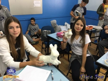 7º ano