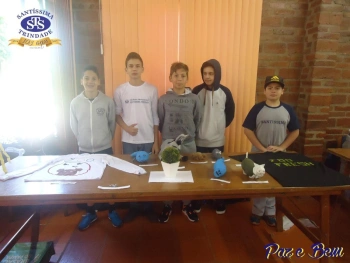 7º ano 
