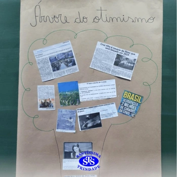 5º ano | Você conhece a “árvore do otimismo”?