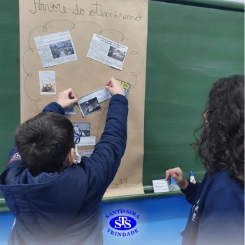 5º ano | Você conhece a “árvore do otimismo”?