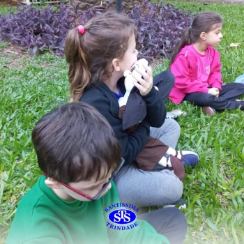 Minha Casa é um Lar | 1º ano do Ensino Fundamental 