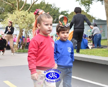 Cabelo Divertido na Educação Infantil
