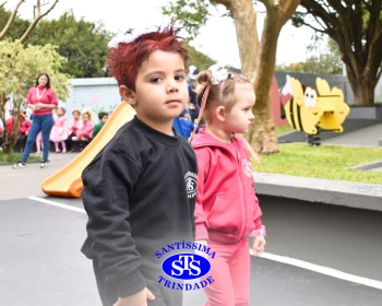 Cabelo Divertido na Educação Infantil