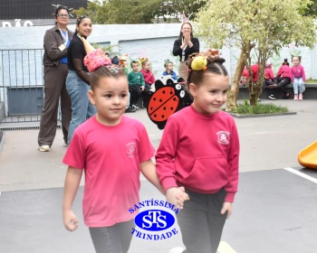 Cabelo Divertido na Educação Infantil