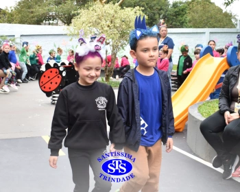 Cabelo Divertido na Educação Infantil