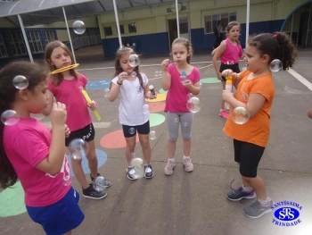 1º ano: estudo do LH