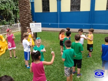 1º ano: estudo do LH
