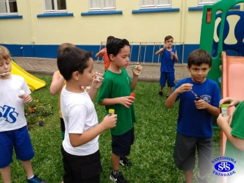 1º ano: estudo do LH