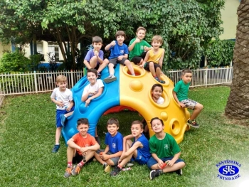 1º ano: estudo do LH