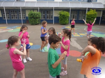 1º ano: estudo do LH