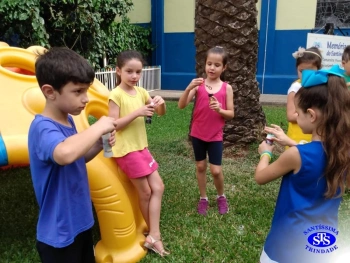 1º ano: estudo do LH