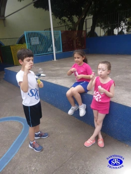 1º ano: estudo do LH