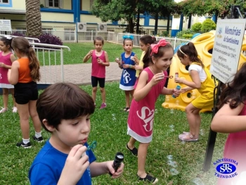 1º ano: estudo do LH