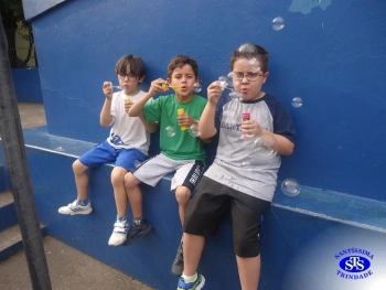 1º ano: estudo do LH